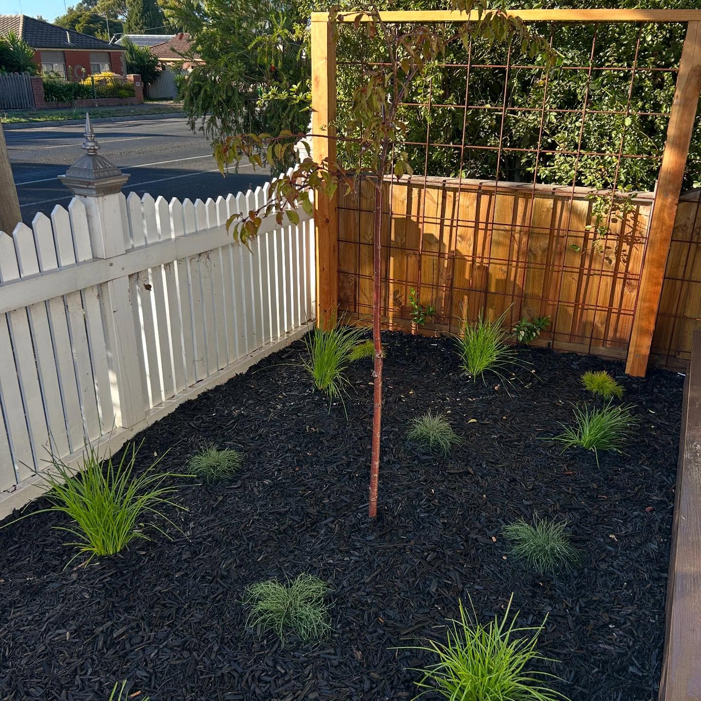 Low-maintenance front yard with red brick path / 3