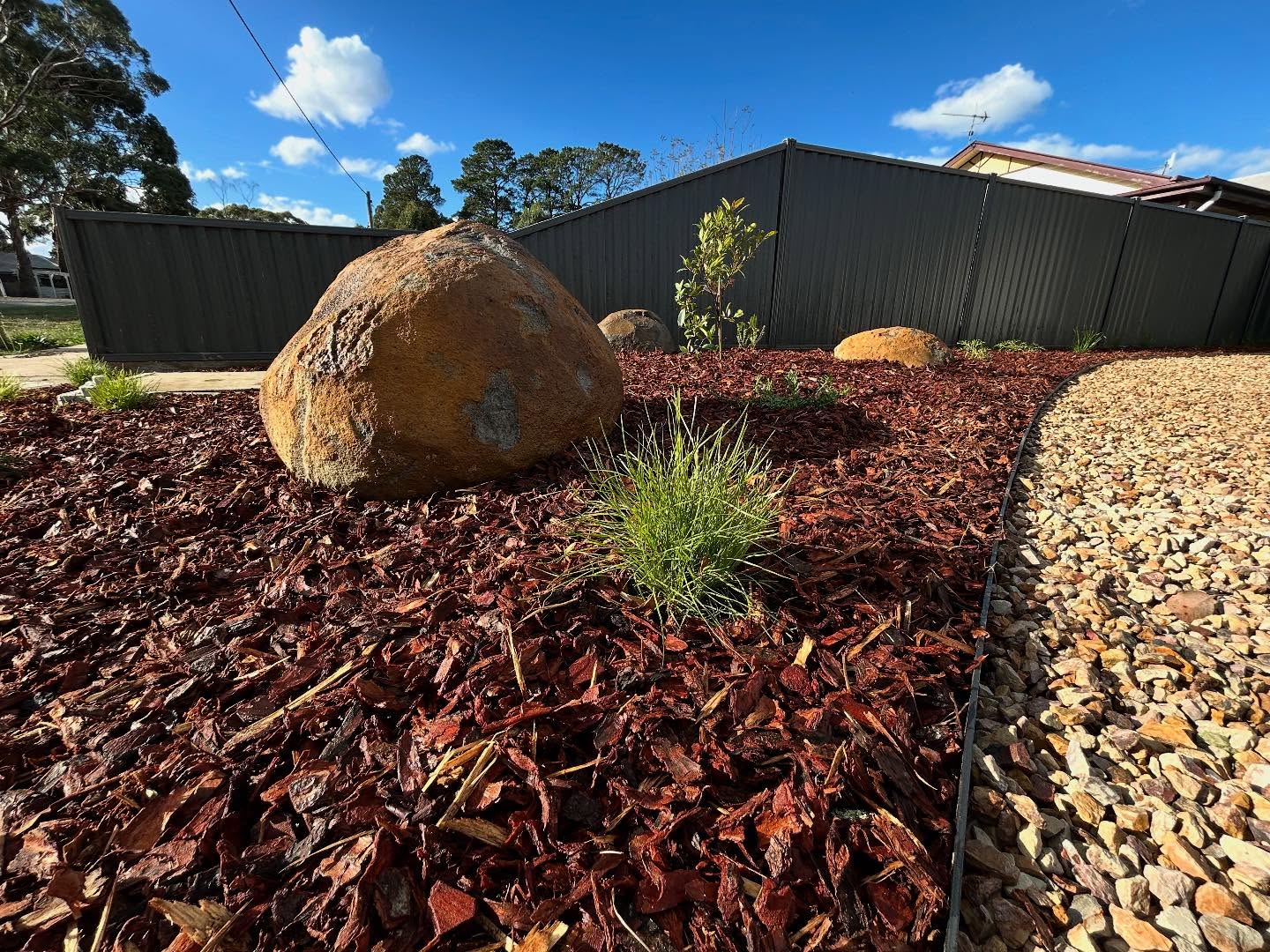 Native feature garden with rock, mulch and steel-lipped edging built by Paved and Scaped in Ballarat