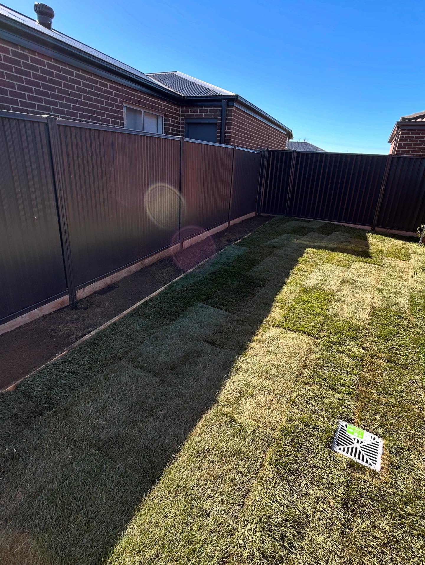 Tall fescue front and side yard / 2
