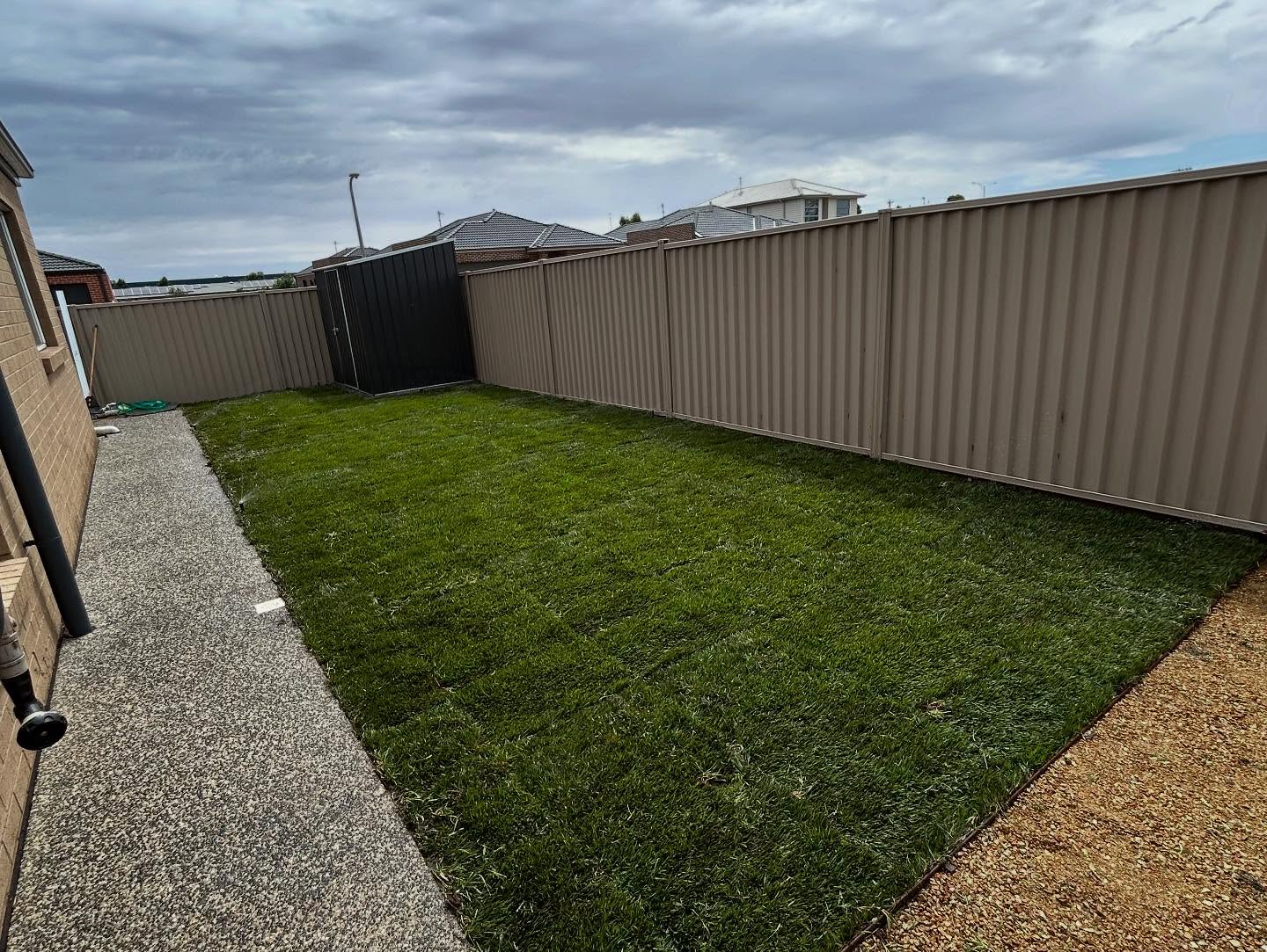 Tall fescue lawn with auto irrigation / 2