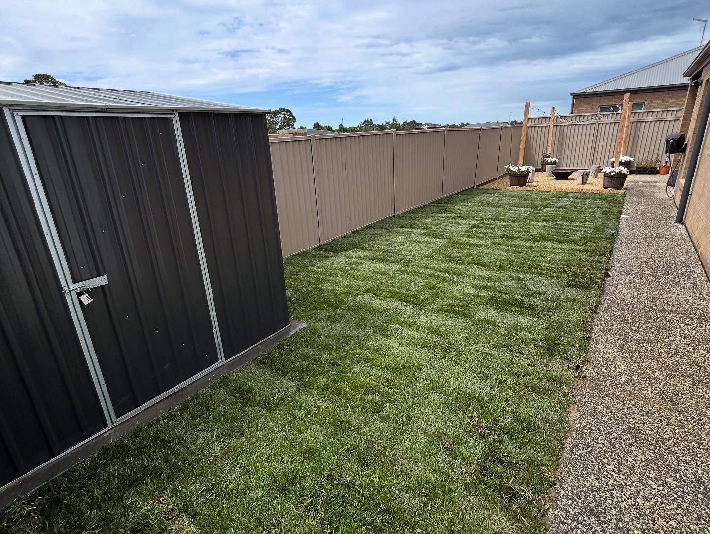 Tall fescue lawn with auto irrigation / 3