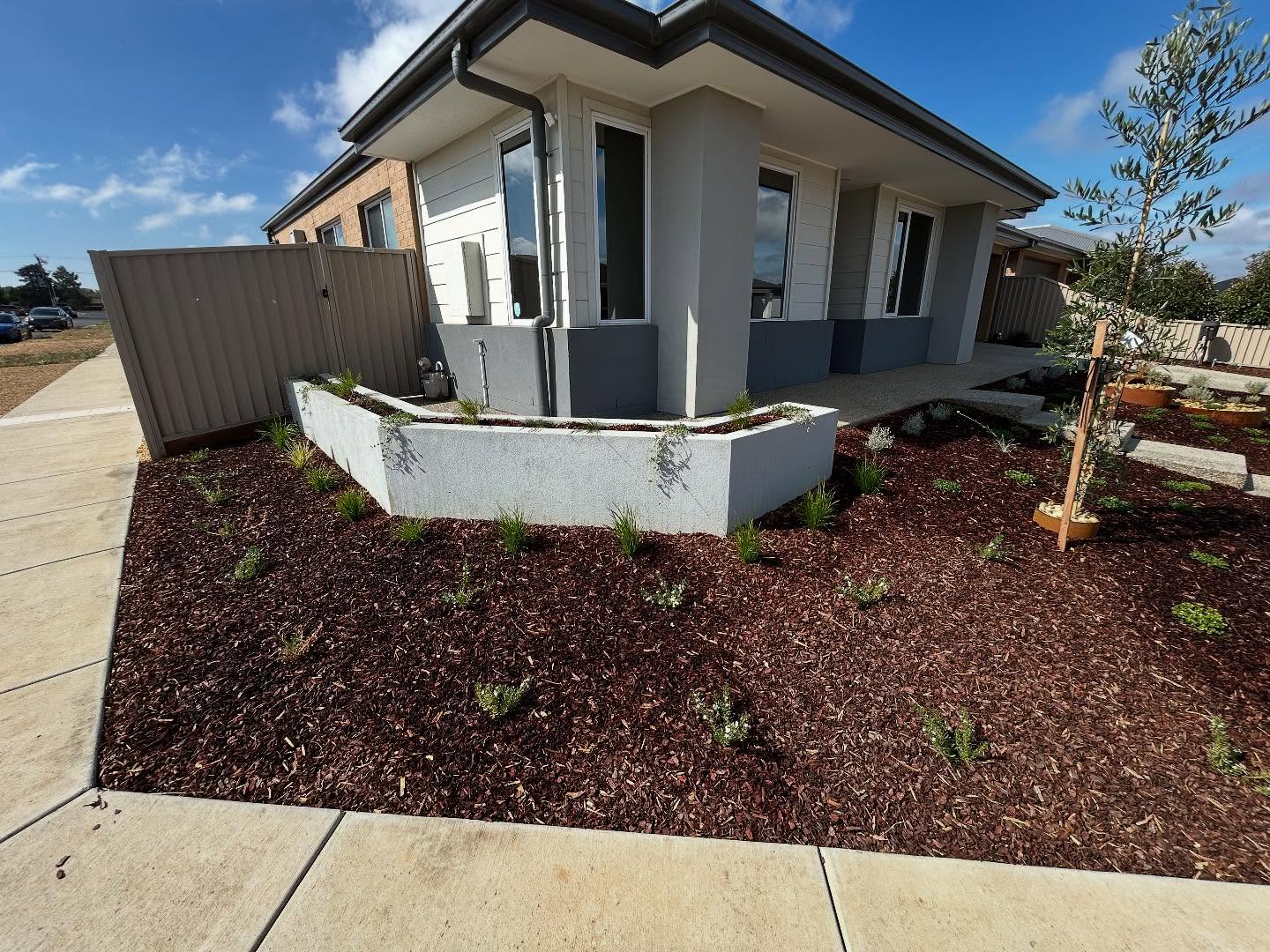 Delacombe front garden with corten water feature / 3