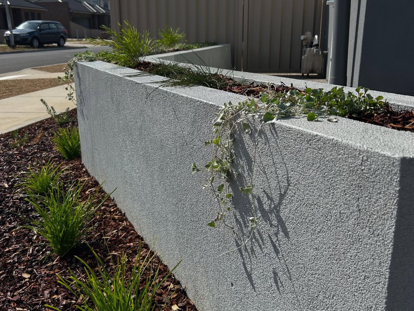 Delacombe front garden with corten water feature / 4