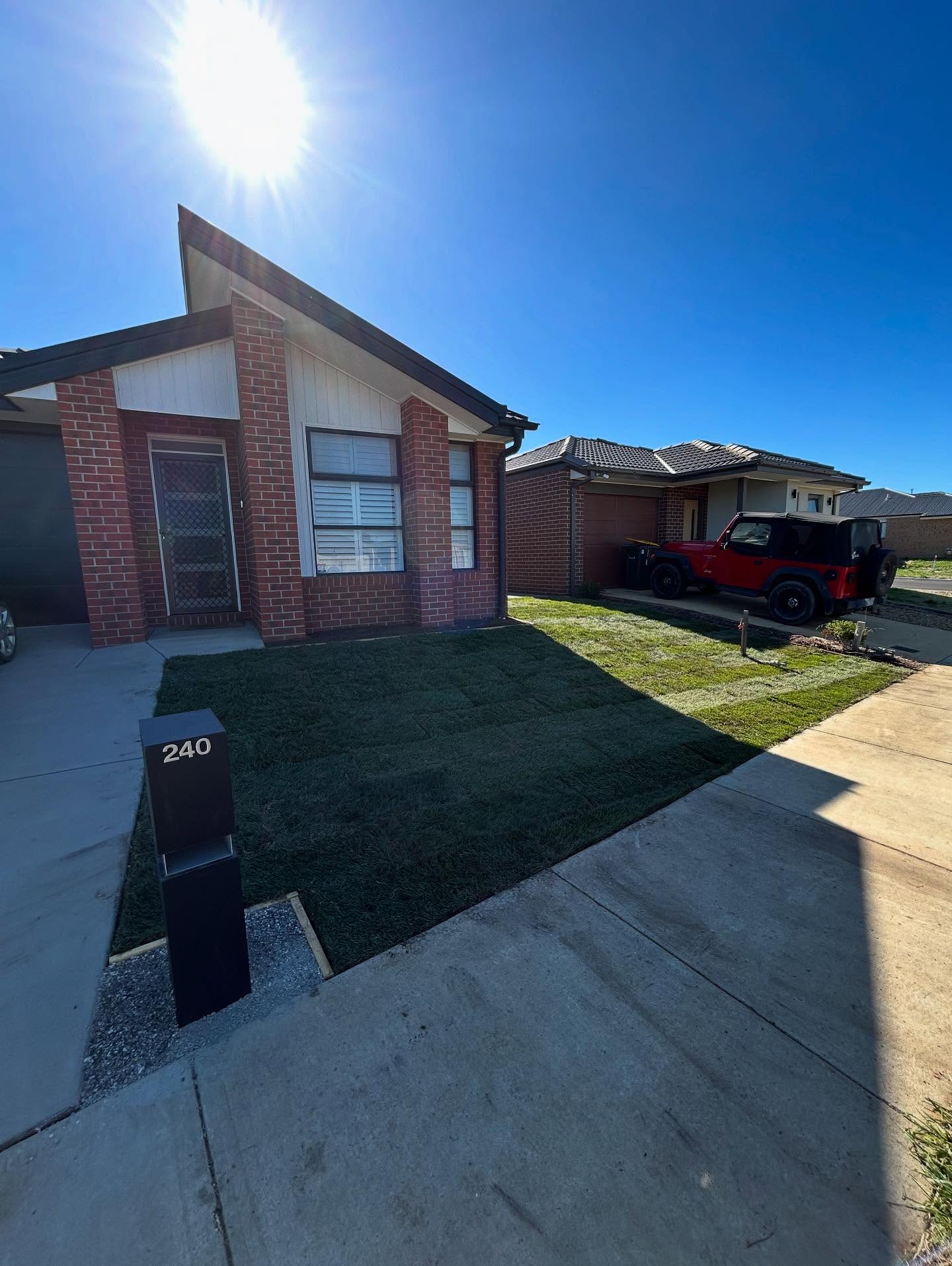 Tall fescue front and side yard