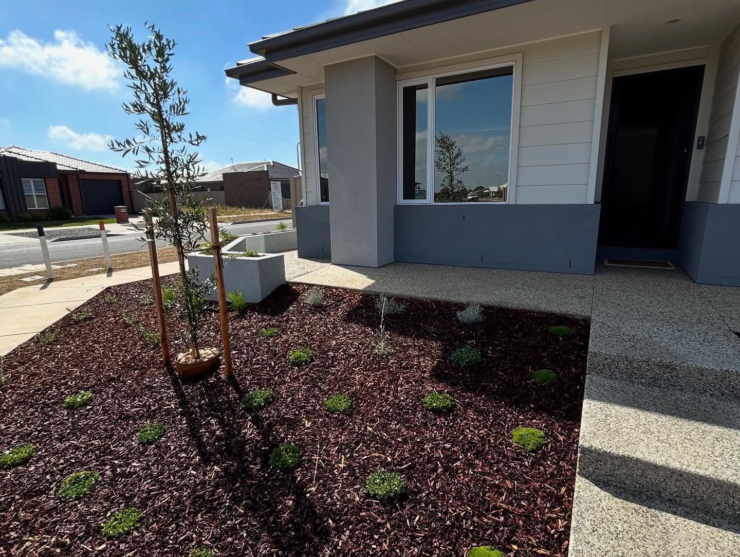 Delacombe front garden with corten water feature / 2